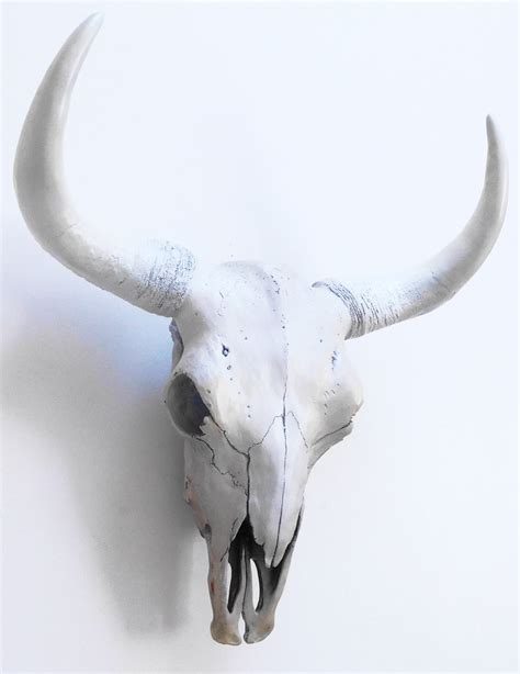 Faux Cow Skull Faux Taxidermy Skull Animal Skull Bison Etsy