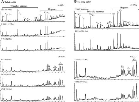 Mass Chromatograms M Z And Showing The Distributions Of