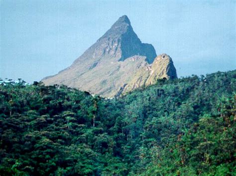 Pico da Neblina, Brazil Tourist Information