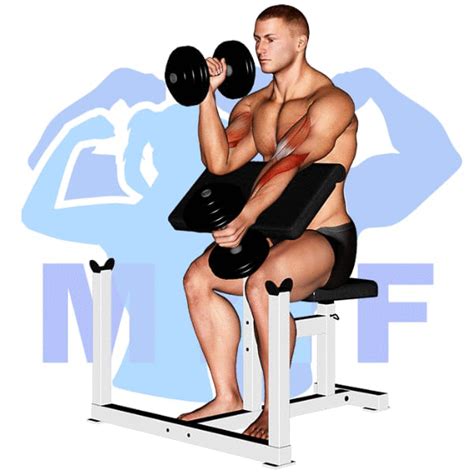 Alternating Dumbbell Hammer Preacher Curl: Great Form and Tips