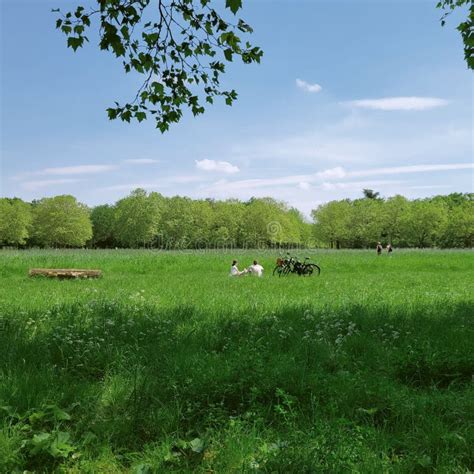 Bois De Vincennes in Spring, View of the Lake and the the Chery Blossom ...