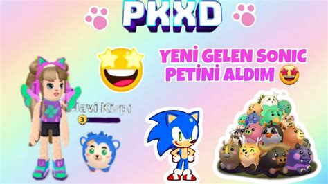 Pk Xd Yenİ Gelen Sonic Petİnİ Aldim🤩sonic Anasayfa Anasayfayadüş