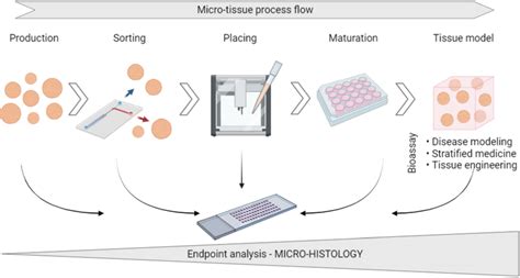 Micro-tissue processing chain showing the increasing need for ...