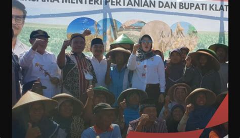 Kementan Lakukan Gerakan Merdeka Panen Kedelai Capai Ton Per