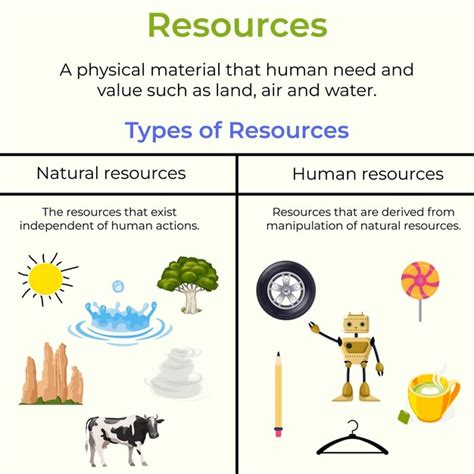 premium vector resources   types