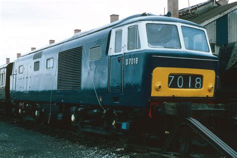 British Rail Class 35 Hymek Diesel Locomotive D7018 Didco Flickr