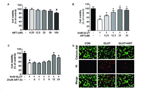 Pretreatment With Artemisinin Protected Ht Cells Against