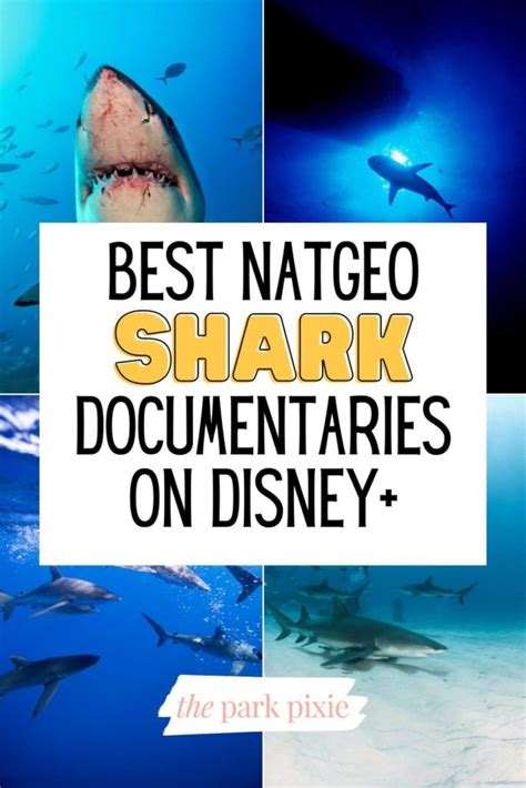 Best National Geographic Shark Documentaries On Disney Plus