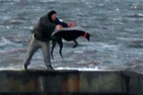 Horrifying Pictures Show Cruel Man Repeatedly Throwing His Terrified