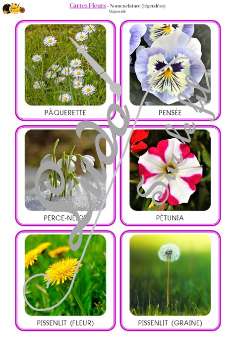 Cartes Fleurs Photos réelles Ludo Sur Le Fil