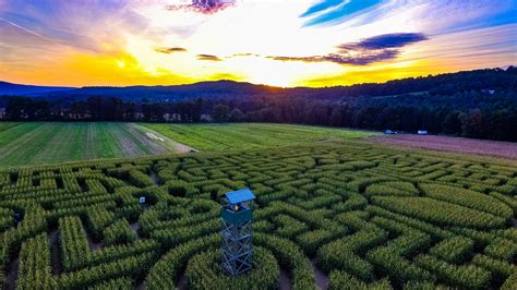 Mazezilla Corn Maze at Klingel's Farm and Produce Stand