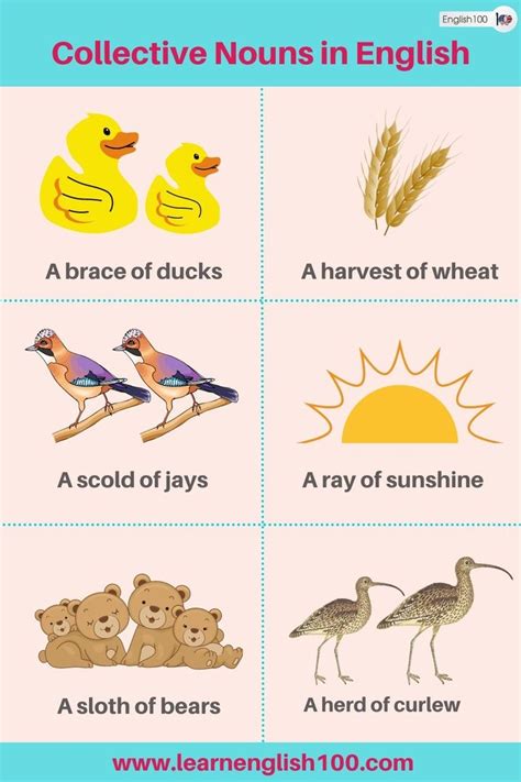 The Ultimate Guide To Collective Nouns In English Everything You Need To Know English 100