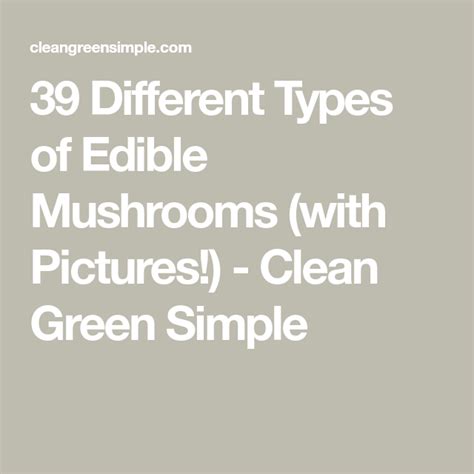 Different Types Of Edible Mushrooms With Pictures Artofit