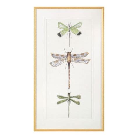 Three Dragonflies Mounted In A Gold Frame