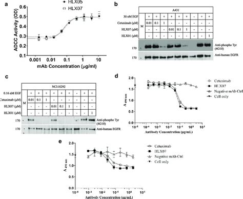 In Vitro ADCC Analysis Of HLX05 And HLX07 A PBMCs As Effector Cells