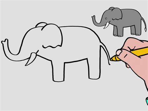 Apprendre à Dessiner Un éléphant En 3 étapes