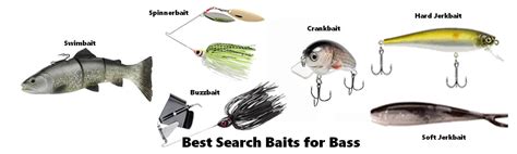 Best Search Baits For Bass - #1 Resource For Bass Fishing