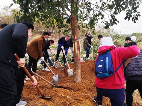 花都区赤坭镇在多地同步开展植树活动 古能文 花城 扶树