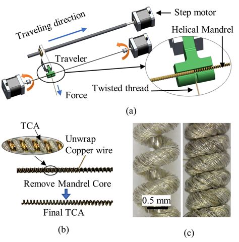 Fabrication Process Of The Tca A Coiled The Twisted Fiber On The Download Scientific Diagram