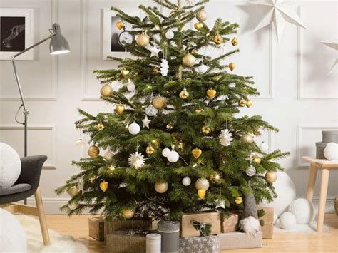 How To Choose The Best Christmas Tree For Your Office? - attractorpatternresearch.com