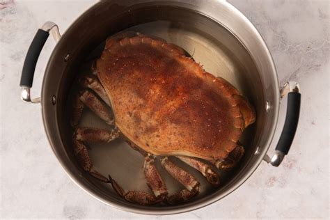 Cómo cocer un buey de mar la receta para que quede en su punto