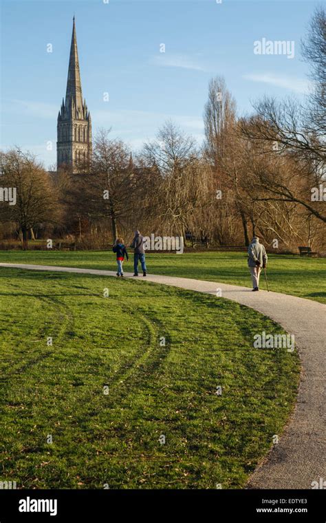 View Of Salisbury Cathedral Spire From Queen Elizabeth Gardens In Mill