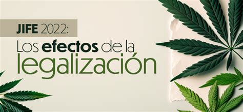 Informe Onu Legalización De Cannabis Recreativo Lleva A Mayor Consumo Más Problemas De Salud Y