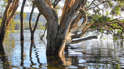 ROCK'S ADVENTURES: CENTRAL COAST - WAMBERAL LAGOON - KAYAK - 9 june 2013