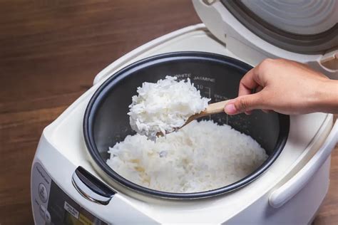 How Does A Rice Cooker Work The Basics Explained Snact