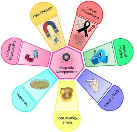 Applications of Magnetic Nanoparticles | Download Scientific Diagram