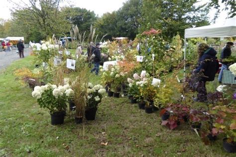 Plantes En F Te Revient Les Et Octobre Domfront