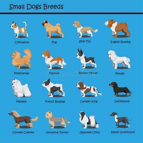 Small Dog Breeds Chart, Svg, Png, Jpg, 16*20 | dxg.wolterskluwer.com