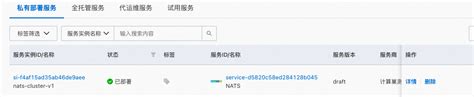 Nats社区版服务实例部署文档 Aliyun 计算巢