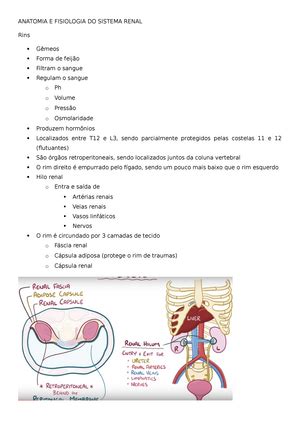 Resumos De Anatomia ANATOMIA HUMANA Studocu