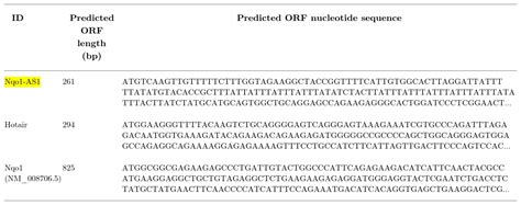 Pcdna3 1 Nqo1 Plasmid Thermo Fisher Bioz