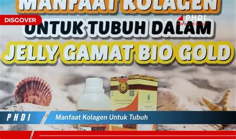 Temukan Manfaat Kolagen Untuk Tubuh Yang Jarang Diketahui