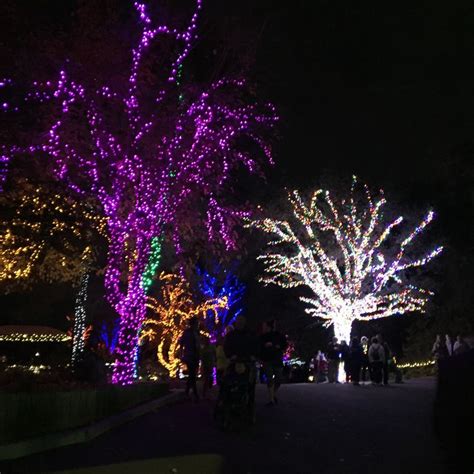 Pin by S&R Agency on Phoenix zoo lights | Zoo lights, Zoo, Lights