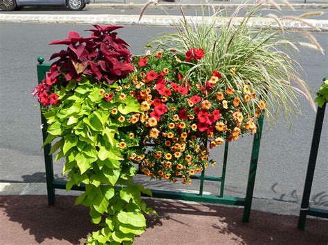 Jardinières fleuries à Suresnes Hauts de Seine Paris côté jardin