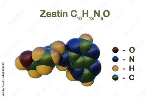 Structural Chemical Formula And Space Filling Molecular Model Of Zeatin A Coconut Milk Derived