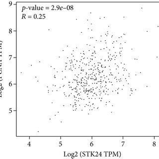 Stk Overexpression Confers Poor Prognosis Of Luad Patients A