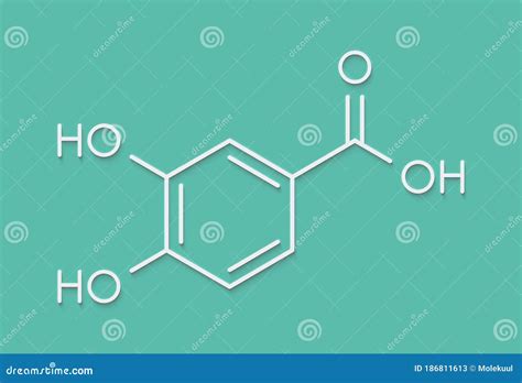 Protocatechuic Acid Pca Green Tea Antioxidant Molecule Skeletal Formula Stock Illustration