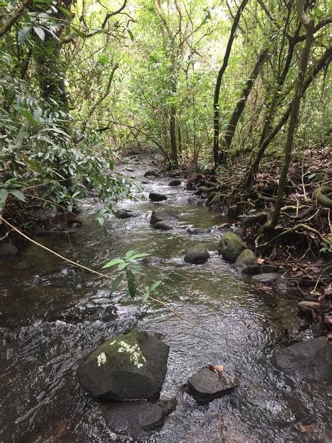 Lotes Y Terrenos Alto Boquete Venta Negociable Terreno A Minutos