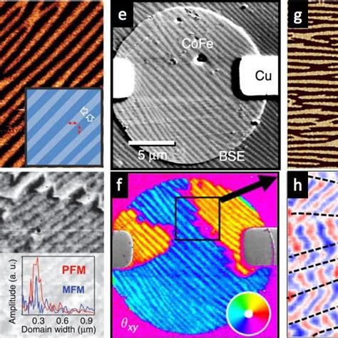 Imaging Magnetic And Ferroelectric Domains In Artificial And Intrinsic