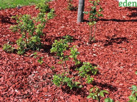 Mulch Calculator How To Determine The Amount Of Mulch