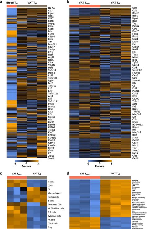 Visceral Fat Resident γδ T Cells Have Distinct Transcriptomes Compared Download Scientific