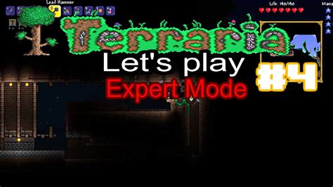 Terraria Expert Mode Let S Play Episode 4 Speed Building YouTube