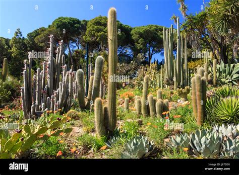 Spain, Catalonia, Costa Brava, Blanes, Marimurtra Botanical Garden
