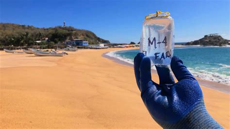 ¿cuáles Son Las Playas Más Sucias De México No Son Aptas Esta Semana