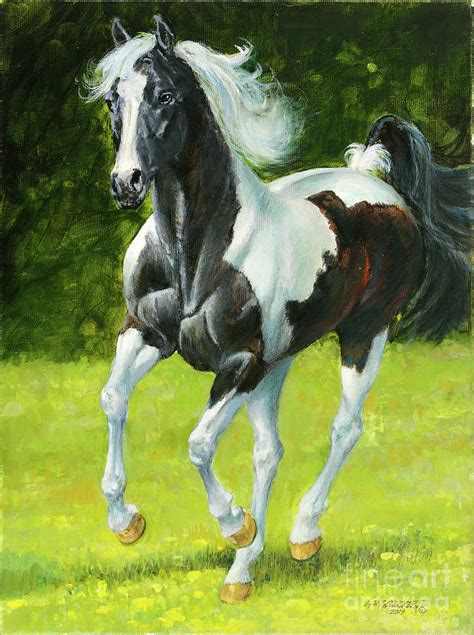 Black and White Spotted Horse Running Painting by Don Langeneckert - Pixels