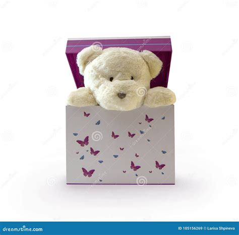 Cute Teddy Bear in Gift Box, Close-up, Isolated on White Background Stock Image - Image of child ...